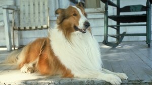 El regreso de Lassie