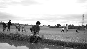 Florentina Hubaldo, CTE
