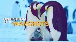 Penguins: Spy in the Huddle