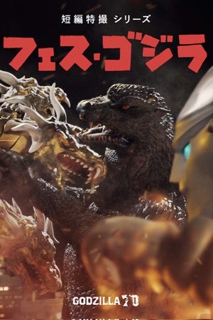 フェス・ゴジラ５怪獣大決戦