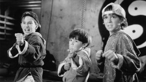 3 pequeños ninjas
