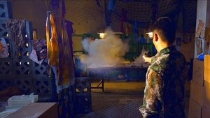 大嫂归来