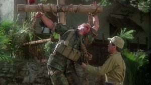 Vietnam: última misión
