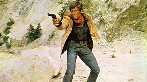 Arizona Colt