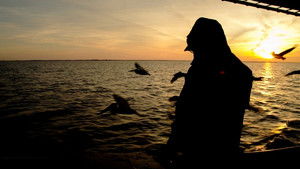 Isleños: una raíz de América