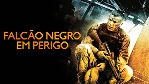Black Hawk derribado