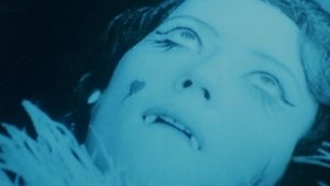 Upír z Feratu