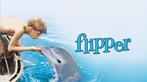Mi amigo Flipper