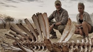Predators Up Close with Joel Lambert