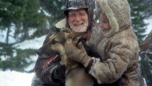 Challenge to White Fang