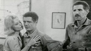 War Italian Style