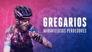 Gregarios, maravillosos perdedores