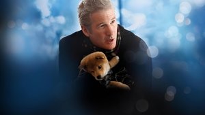 Hachi: A Dog's Tale