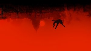 La noche devora el mundo