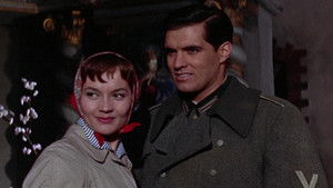 Tiempo de amar, tiempo de morir