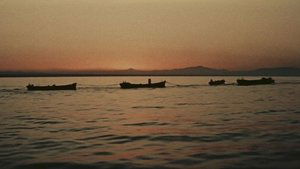 Sea Countrymen