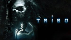 La Tribu