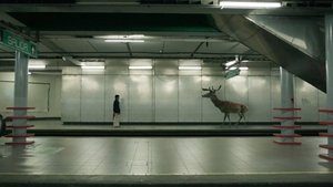 El sueño del Mara'akame