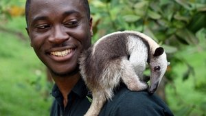 Animales súper pequeños