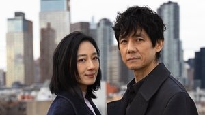 Dear Stranger／ディア・ストレンジャー