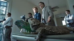 Bad Lieutenant: Port of Call - New Orleans