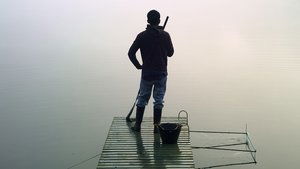El verano de los peces voladores