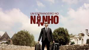 Viaggio a sorpresa