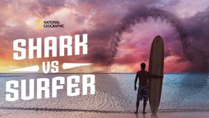 Shark vs. Surfer