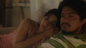 El despertar de las hormigas