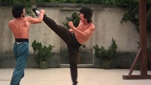 Knockabout