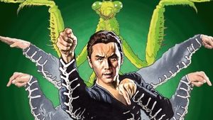 Shaolin Mantis