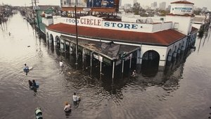 Hijos del Katrina