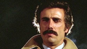 Torino violenta