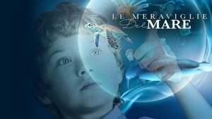 Wonders of the Sea 3D