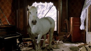 Los favoritos de la luna