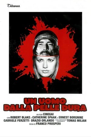 Los largos días de la violencia