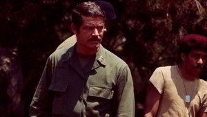 Brigada Negra