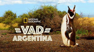 Wild Argentina
