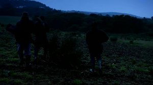 Torn: A Shock Youmentary