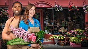 When Love Blooms