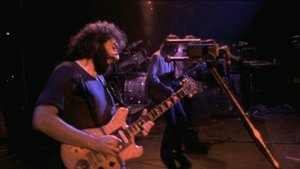 The Grateful Dead