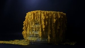 Le Blob, un génie sans cerveau