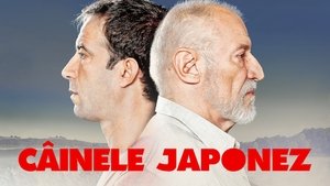 Câinele japonez