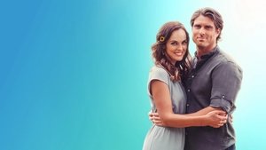 Love Stories in Sunflower Valley