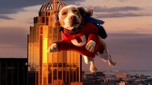 Superdog