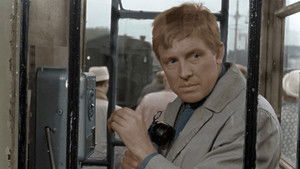 Cuidado con el coche