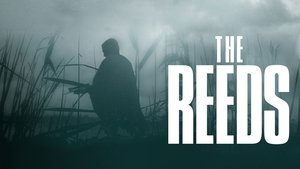 The Reeds