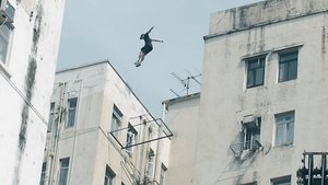Roof Culture Asia