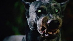 El perro del infierno