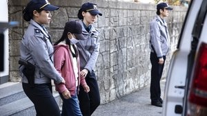 어린 의뢰인